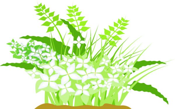 Adesivo Jardim branco